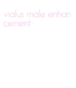 vialus male enhancement