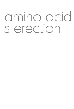amino acids erection
