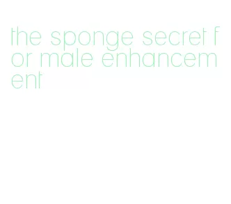 the sponge secret for male enhancement