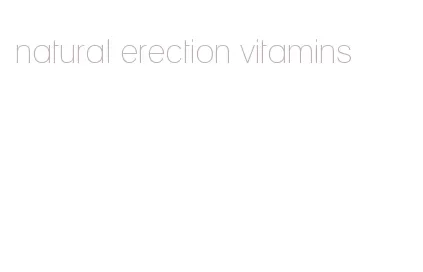 natural erection vitamins