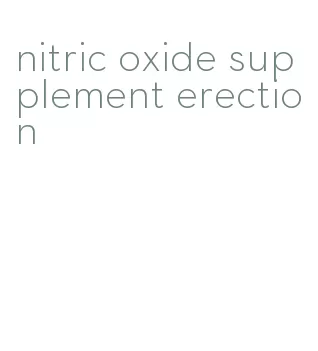 nitric oxide supplement erection