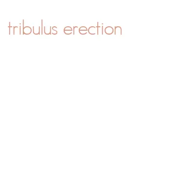 tribulus erection