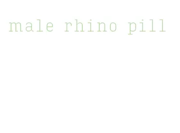 male rhino pill
