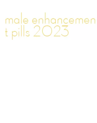 male enhancement pills 2023