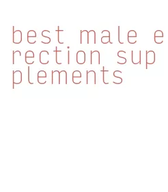 best male erection supplements